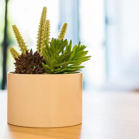 Appartement Canto Mar By Alzira Albufeira