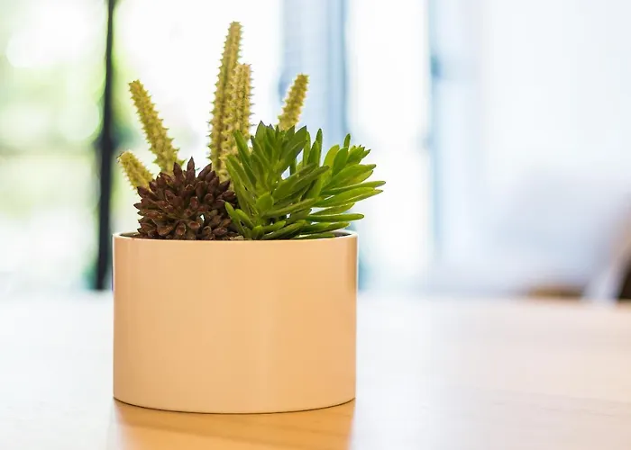 Apartman Canto Mar By Alzira Albufeira