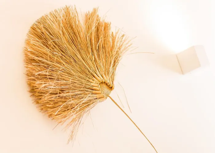 Canto Mar By Alzira *